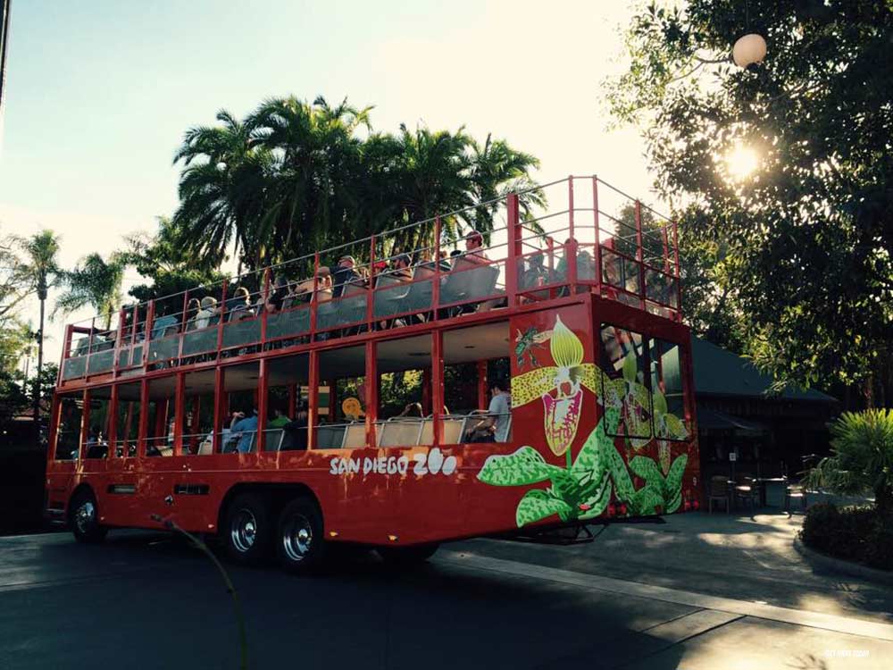 San Diego Zoo Bus