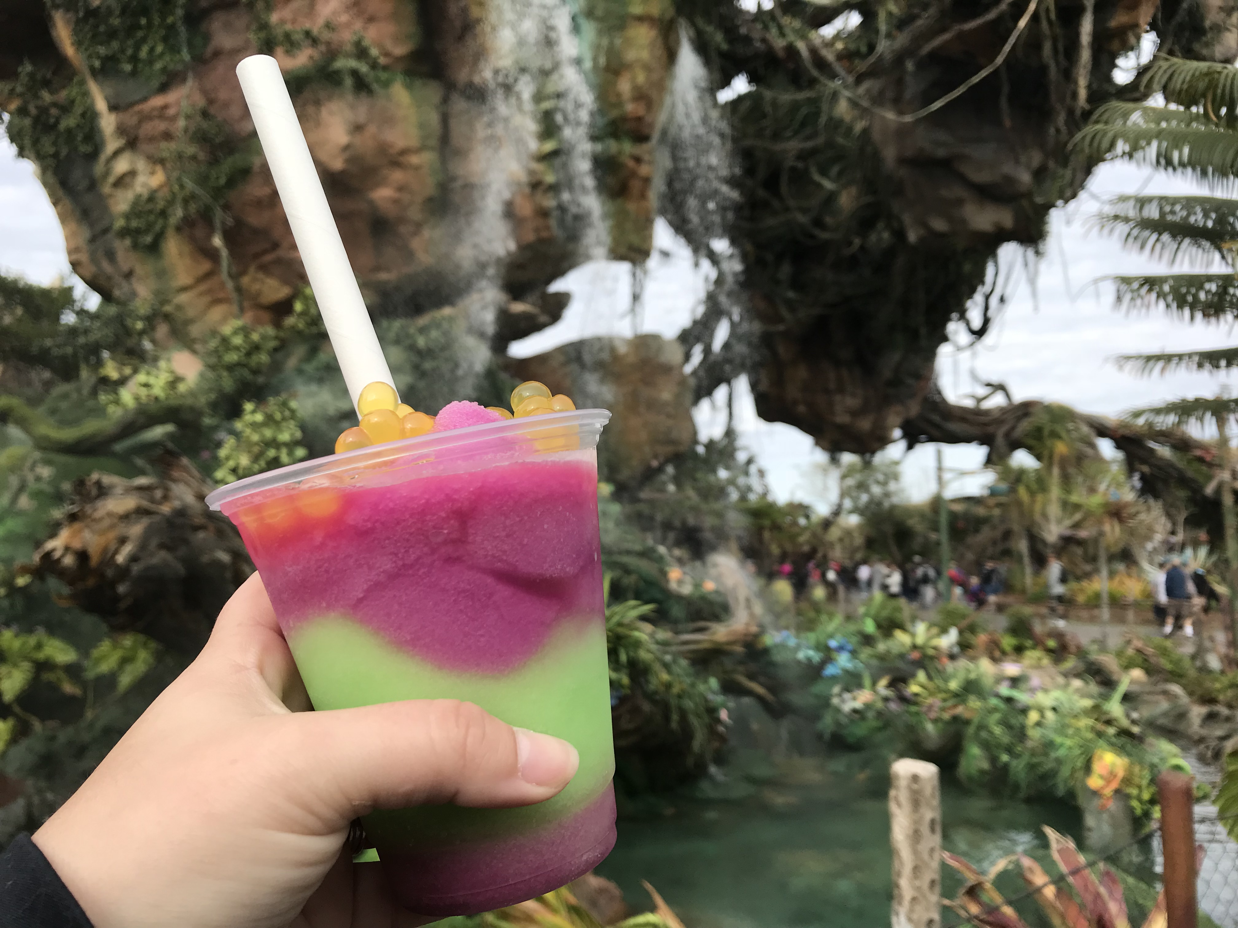 Night Blossom Drink Recipe Walt Disney World