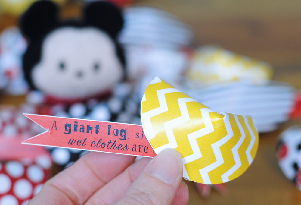 Disneyland Vacation Surprise Fortune Cookie
