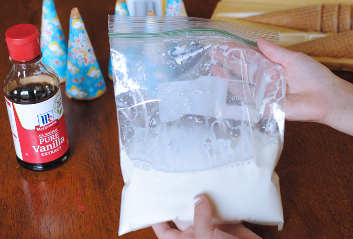 Frozen Ice Cream Sealed Bag of Ingredients 