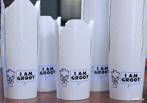 Groot Party Boxes
