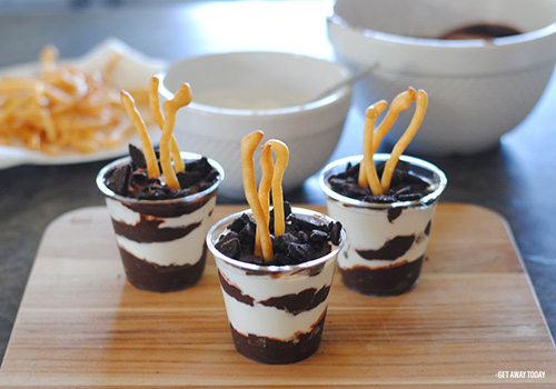 Groot Pudding Cups 