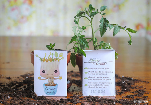 Grow Your Own Groot