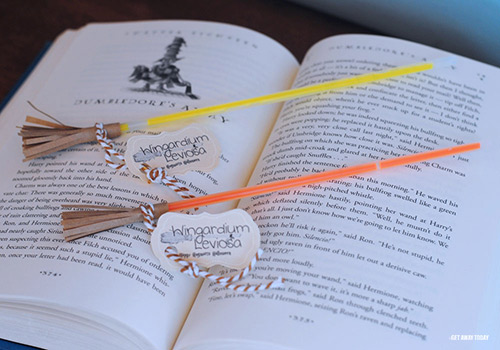 DIY Harry Potter Broom Craft