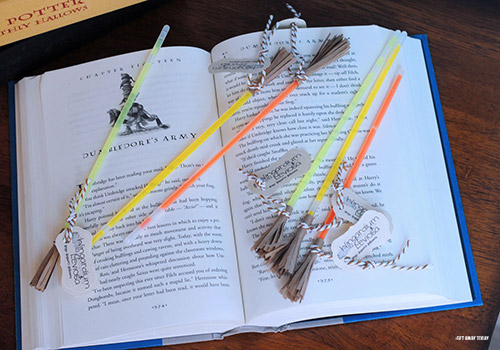 DIY Harry Potter Broom Craft