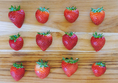 Strawberries for Jack Skellington Chocolate Covered Strawberries