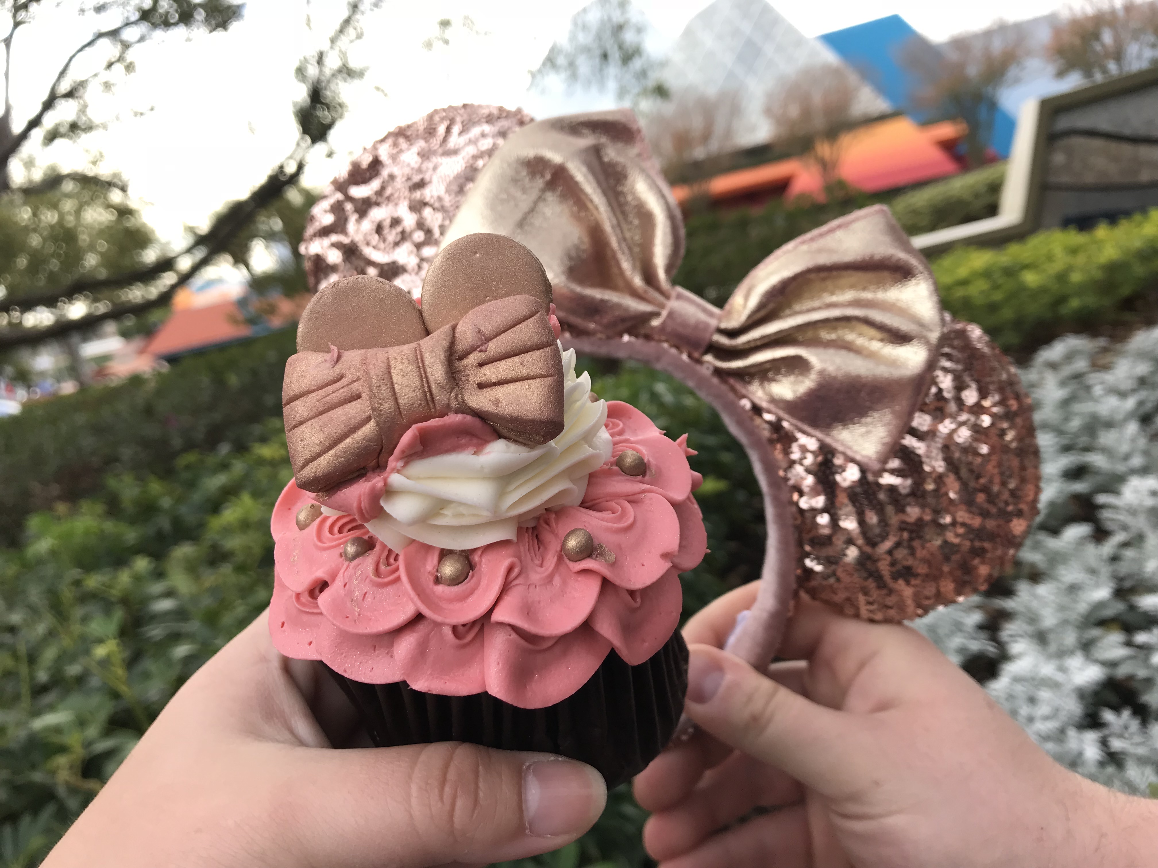 Rose Gold Minnie Ears Cupcakes Walt Disney World